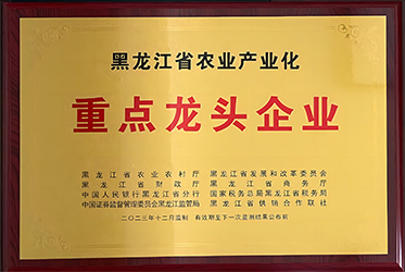 首页.jpg